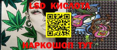 молекула духа Кандалакша